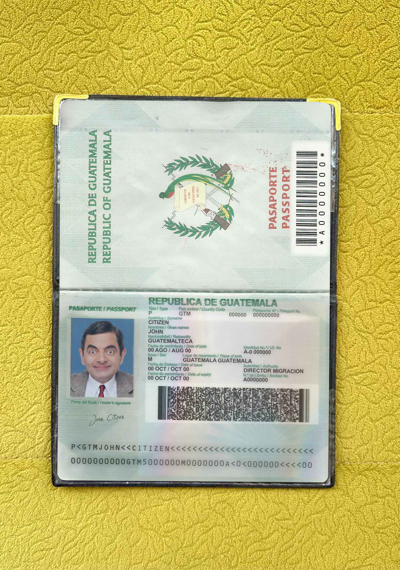 Guatemala passport photo look PSD template